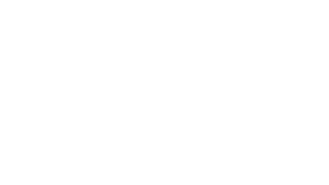 Logo Flexinox Pool